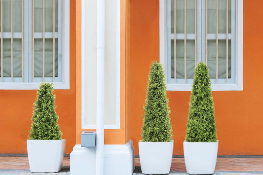 Discover realistic artificial boxwood for easy, maintenance-free greenery in any indoor or outdoor space.