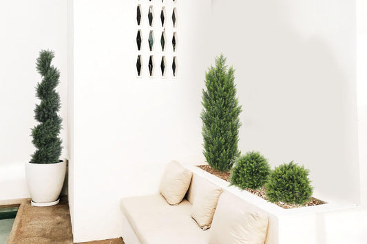 Transform Your Space with the Timeless Charm of Artificial Cypress