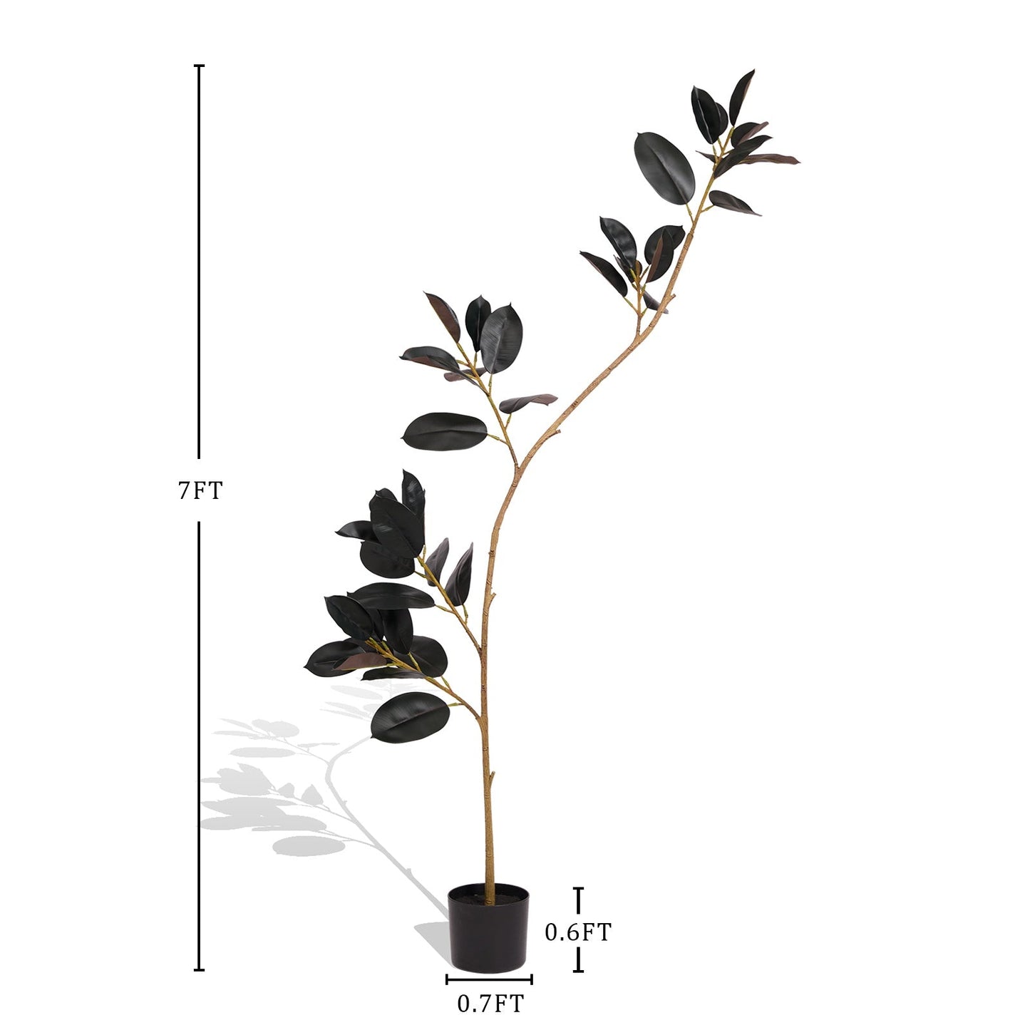 Artificial Rubber Tree 7ft – Product Dimensions and Size Reference