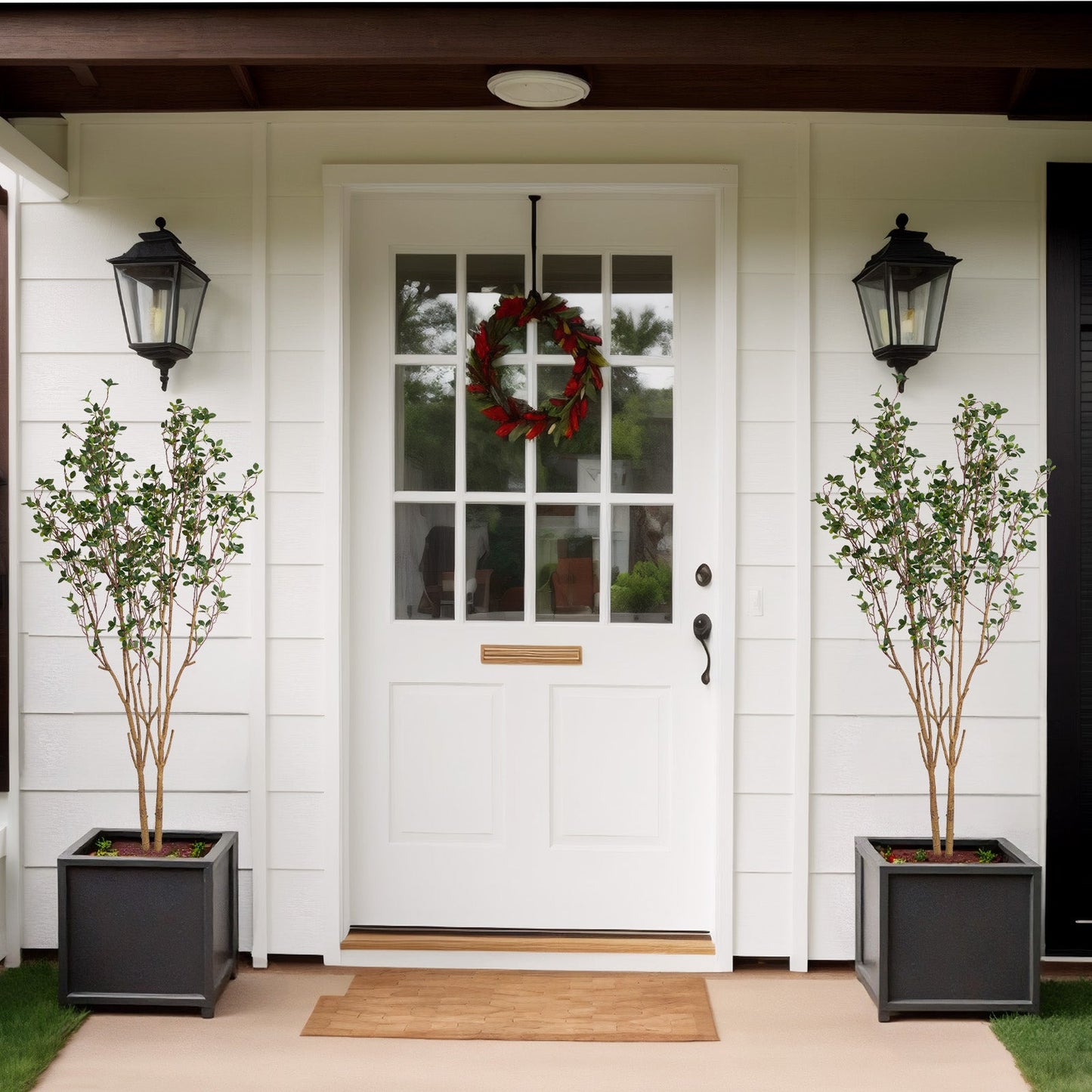 Evergreen Flowering Shrub for Year-Round Garden & Indoor Decoration