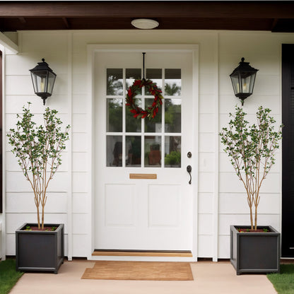 THE BLOOM TIMES Evergreen Flowering Shrub for Year-Round Garden & Indoor Decoration