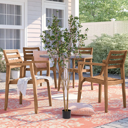 THE BLOOM TIMES Evergreen Flowering Shrub for Year-Round Garden & Indoor Decoration