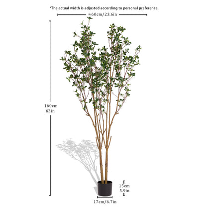THE BLOOM TIMES Evergreen Flowering Shrub for Year-Round Garden & Indoor Decoration